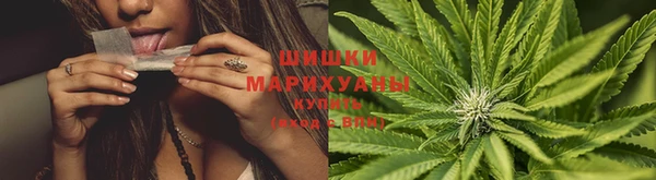 ПСИЛОЦИБИНОВЫЕ ГРИБЫ Алзамай