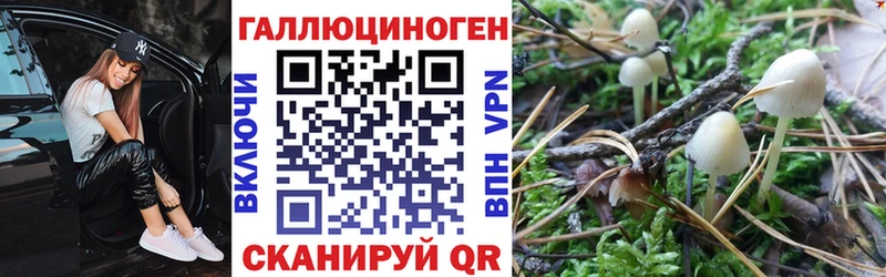 Галлюциногенные грибы MAGIC MUSHROOMS  как найти   Талдом 